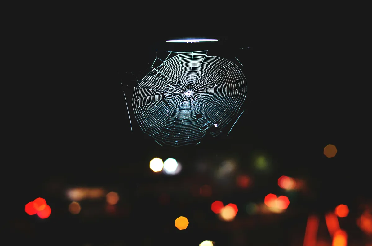 Dark Web Services