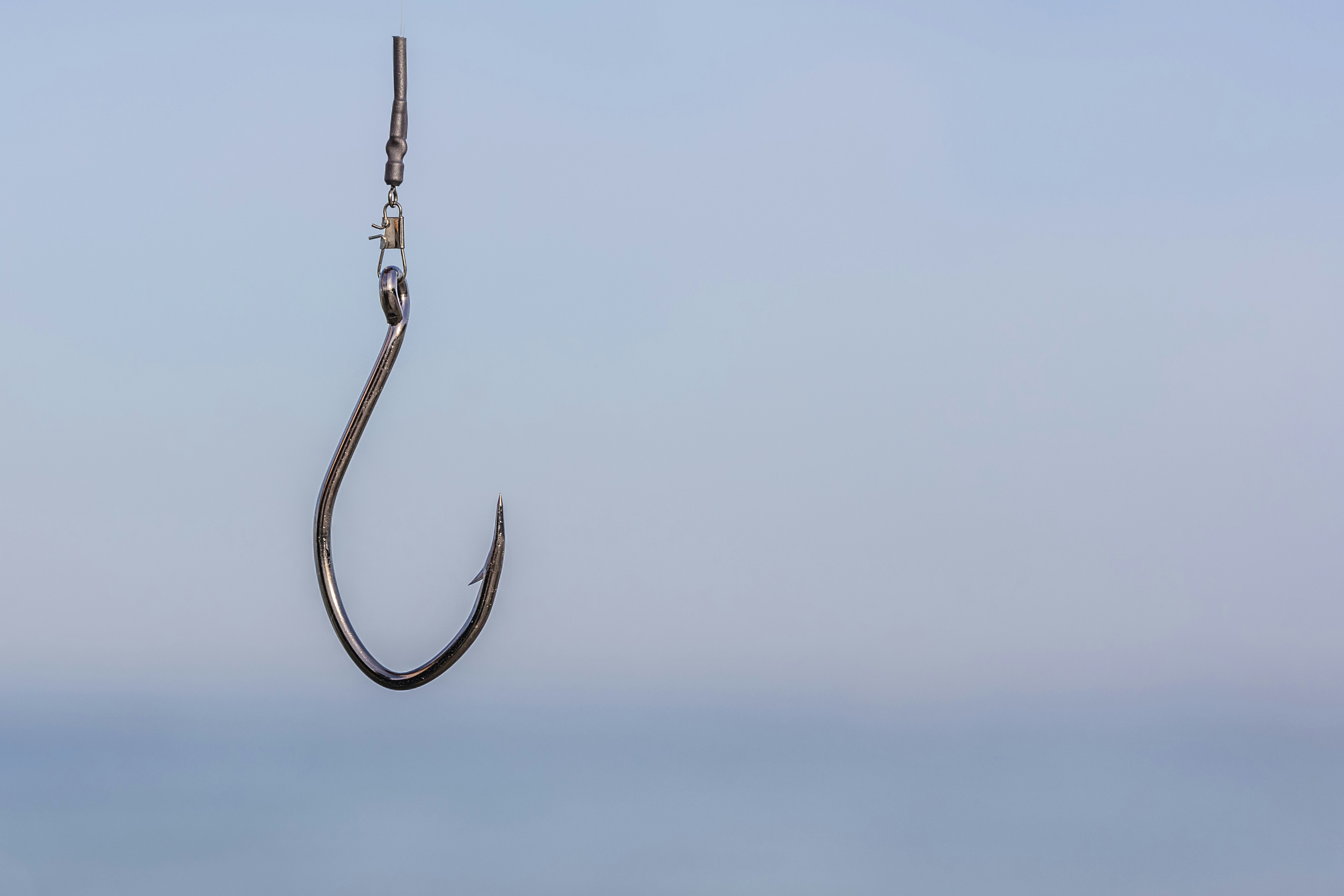Phishing Campaigns